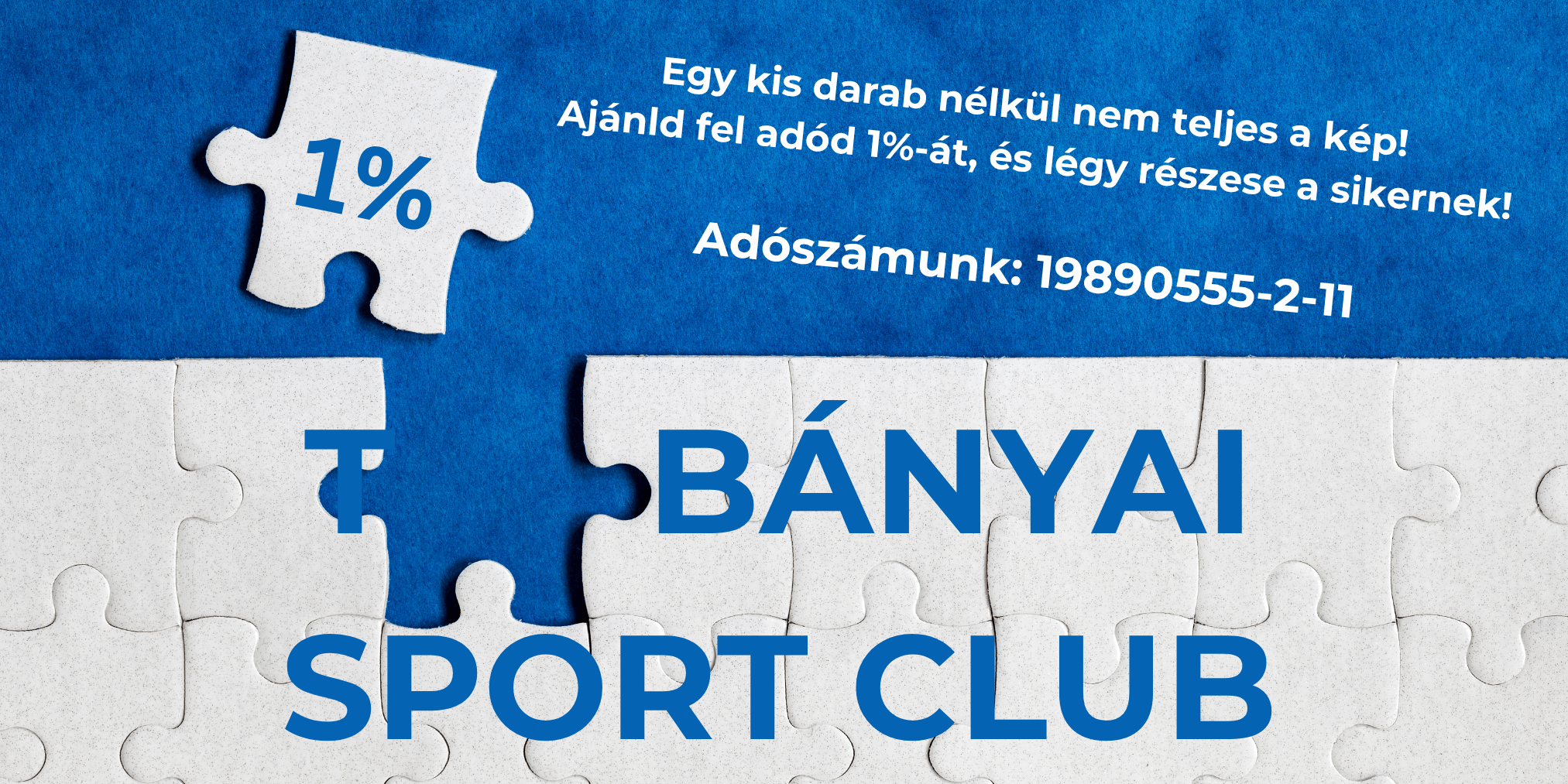 Tatabányai Sport Club (1800 x 900 px).png